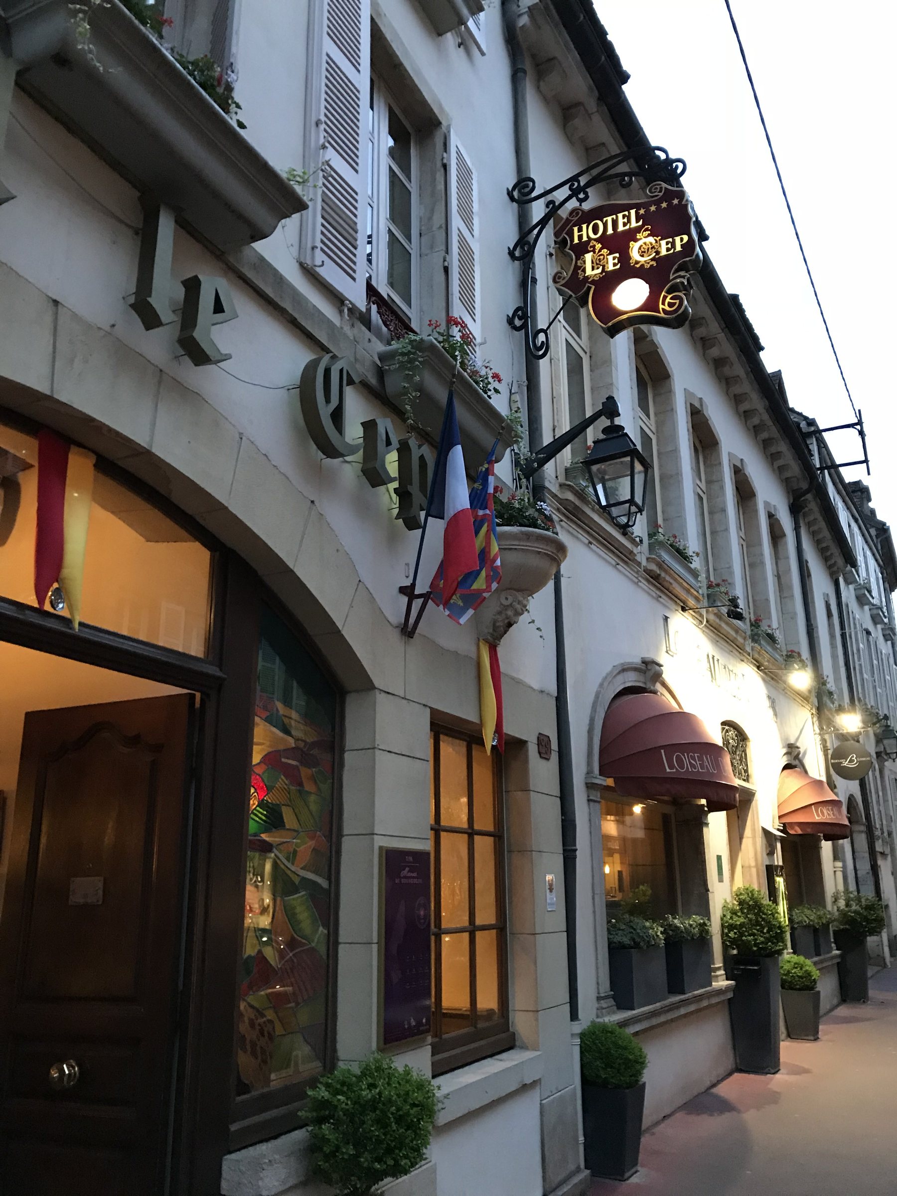 Burgundy wine country
