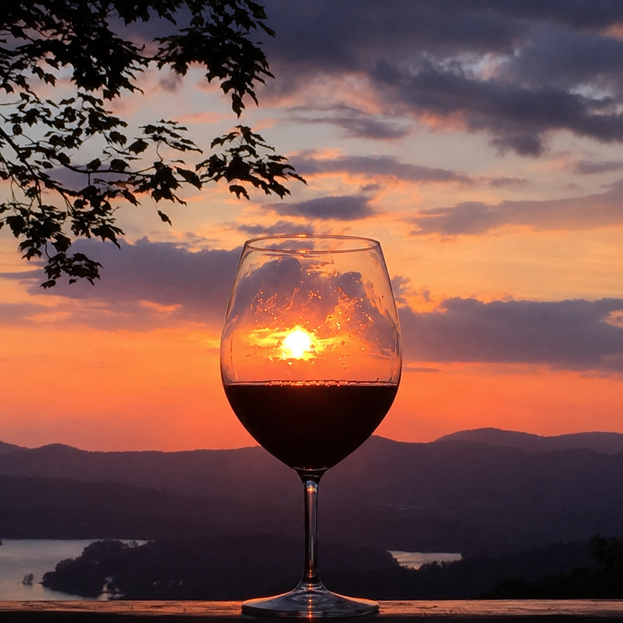 Gary's red wine at sunset signature image
